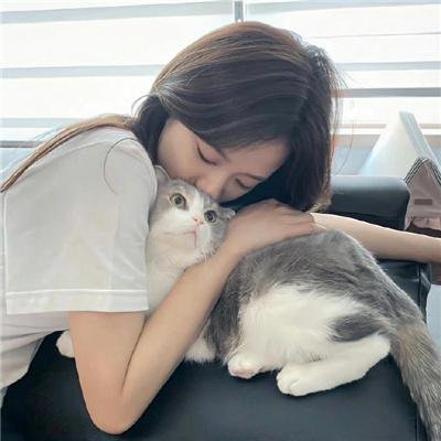 玻璃盒子 在线观看